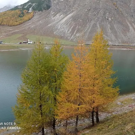 Pensjonat Canton 520 Self Check In 3*